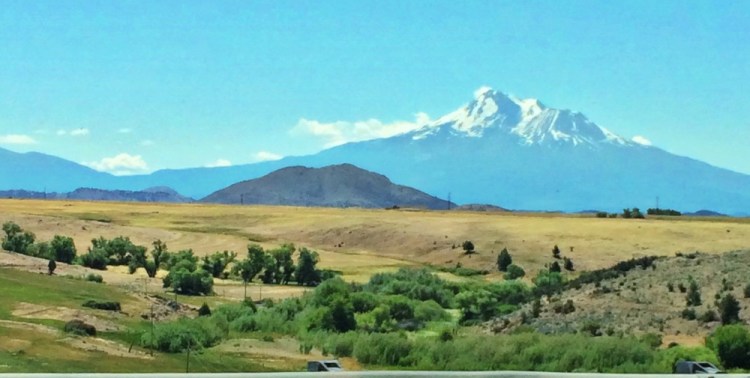 Mt. Shasta is the tallest peak in the lower 48 states; but, surprisingly I still think Mt. Ranier looks more magnificent.&nbsp;
