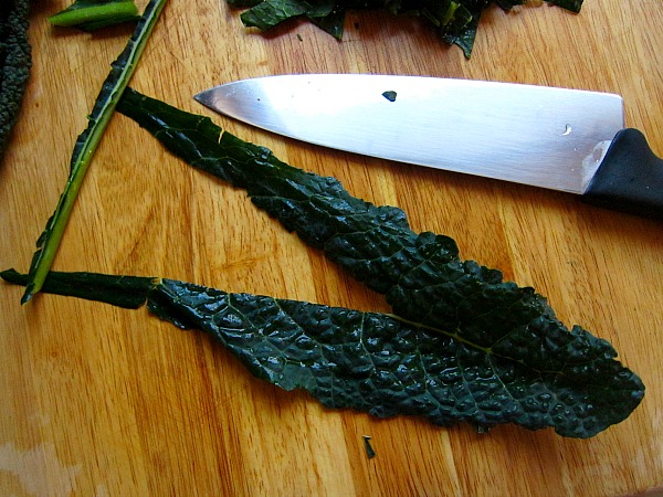 &nbsp; &nbsp; &nbsp; &nbsp; &nbsp; &nbsp; &nbsp; &nbsp; &nbsp; &nbsp; &nbsp; &nbsp; &nbsp; &nbsp;...what looks like a pair of legs.