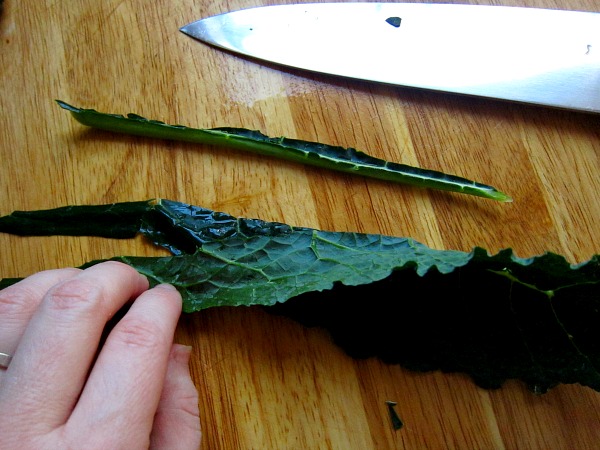 &nbsp; &nbsp; &nbsp; &nbsp; &nbsp; &nbsp; &nbsp; &nbsp; &nbsp; &nbsp; &nbsp; &nbsp; &nbsp; &nbsp; The rib has been removed and we are left with....